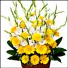 Rhythm of life (ODD5) - Click here to View more details about this Product